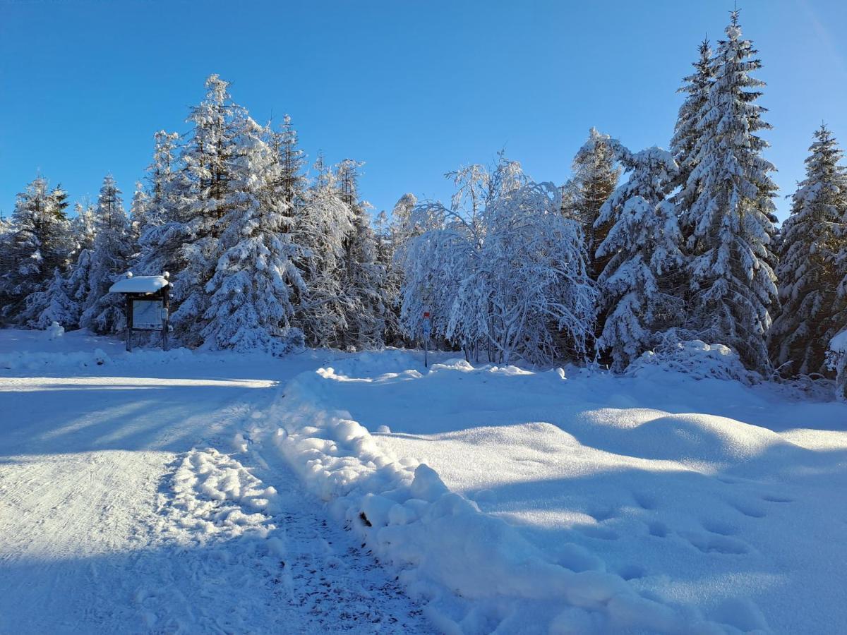 Wohnen Wie Bei Freunden Braunlage Zewnętrze zdjęcie